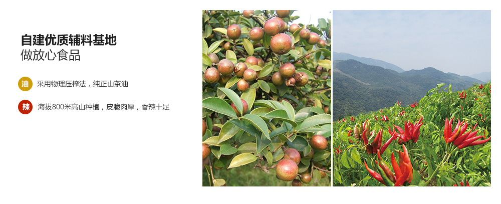 种植基地